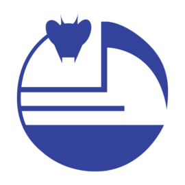 logo de l'association Kung Fu Club de Plaisance du Touch